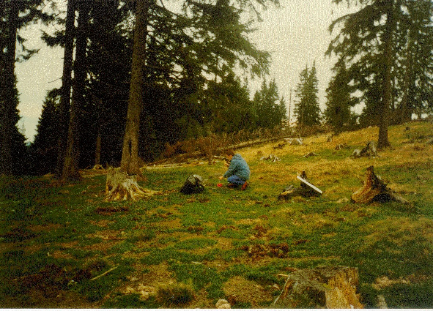 Delimitare cadastrală comuna Răstoliţa, judeţul Mureş, 1998